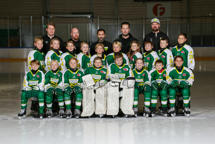 Lagbilde MS Hockey 2016